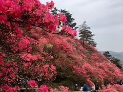 -木兰云雾山