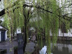-柯岩风景区