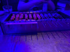 -很久以前羊肉串(打浦路店)