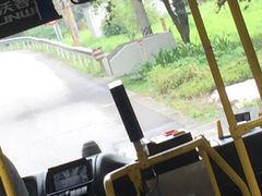 -眼镜哥浦江夜宵大本营