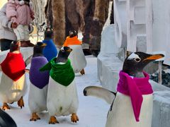 -波塞冬旅游度假区