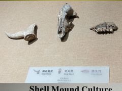 -烟台市博物馆