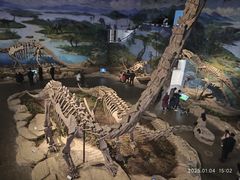 -自贡恐龙博物馆