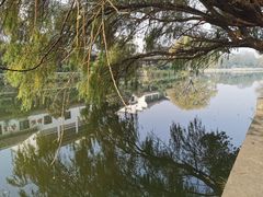 -涵家味土菜馆·徽州一绝臭鳜鱼(三河古镇店)