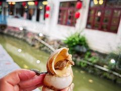 海螺-天然居(伦教店)