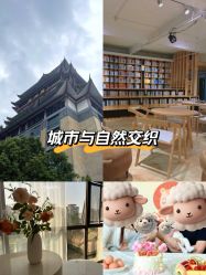 -爱贝乐妈咪月子中心