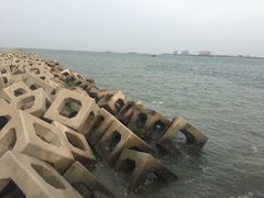 -东疆建设开发纪念公园