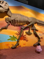 -北京科学中心儿童乐园