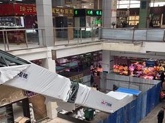 -花鸟鱼虫鲜花绿植市场(玉泉路店)