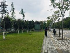 -眉山湿地公园(东坡区)