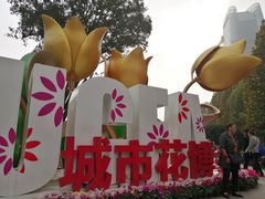 -重庆市江北嘴中央商务区中央公园