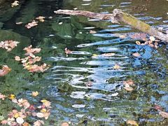 -丹东天桥沟景区