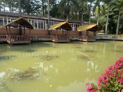 -揭东万竹园旅游景区