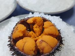 -鲜得莱渔港·小平岛海胆馆(七贤岭店)