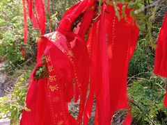 -苍岩山风景名胜区