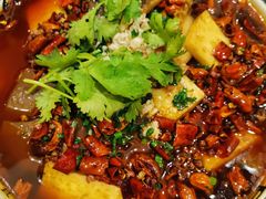 -同庆楼(滨湖万达广场店)