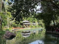 -亚龙湾热带天堂森林公园
