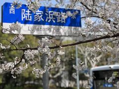 -陆家浜路(地铁站)