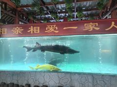 -年辉渔村