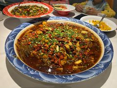 -新概念来凤鱼(璧山店)