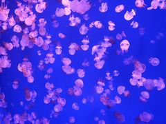 -波塞冬旅游度假区