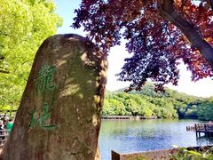 -白马涧龙池景区