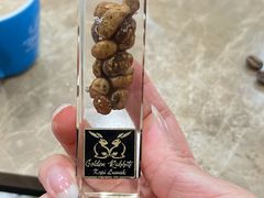 -巴厘岛黄金金兔咖啡工厂