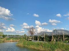 -马陆小张葡萄园农家乐