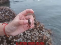 -青岛金沙滩