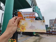 -荷兰花海