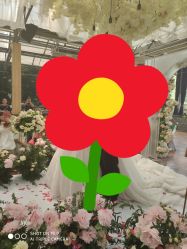 -保定金沙芝柏婚礼策划