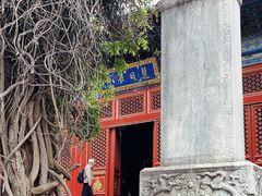 -北京艺术博物馆(万寿寺)