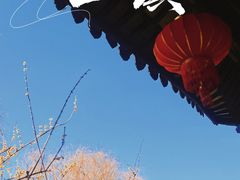 -锦溪古镇