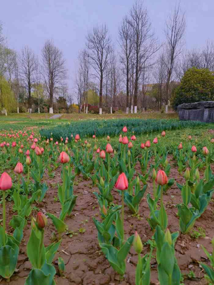 西安植物园曲江园区