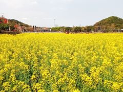 -红山村