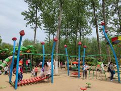 -合肥滨湖国家森林公园