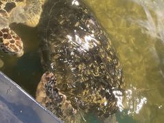 -苏州海洋馆