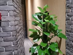 -北方家宴(番禺永旺店)