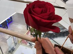 -多嘴超级肉蟹煲(杉杉国潮主题店)
