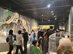 -深圳博物馆历史民俗馆