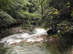 -祁门牯牛降观音堂风景区