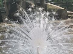 -哈尔滨北方森林动物园