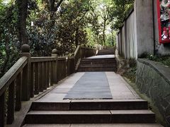 -上海佘山国家森林公园西佘山园