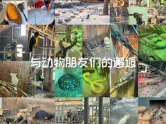 -太原动物园