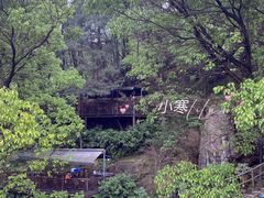-南山植物园