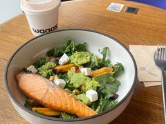 -Wagas沃歌斯(五道口购物中心店)