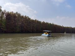 -上海海湾国家森林公园