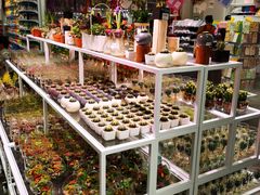 -KKV(深圳宏发大仟里店)