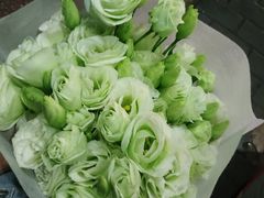 -秦美花卉(天朗·莱茵小城2期店)