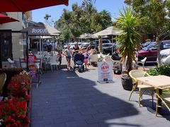 -Sun World Chinese Restaurant 新世界海鲜酒家